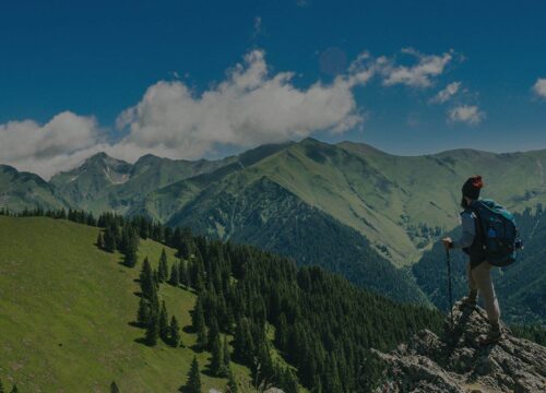Kashmir Unveiled