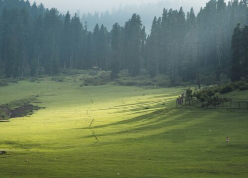 Kashmir Delight