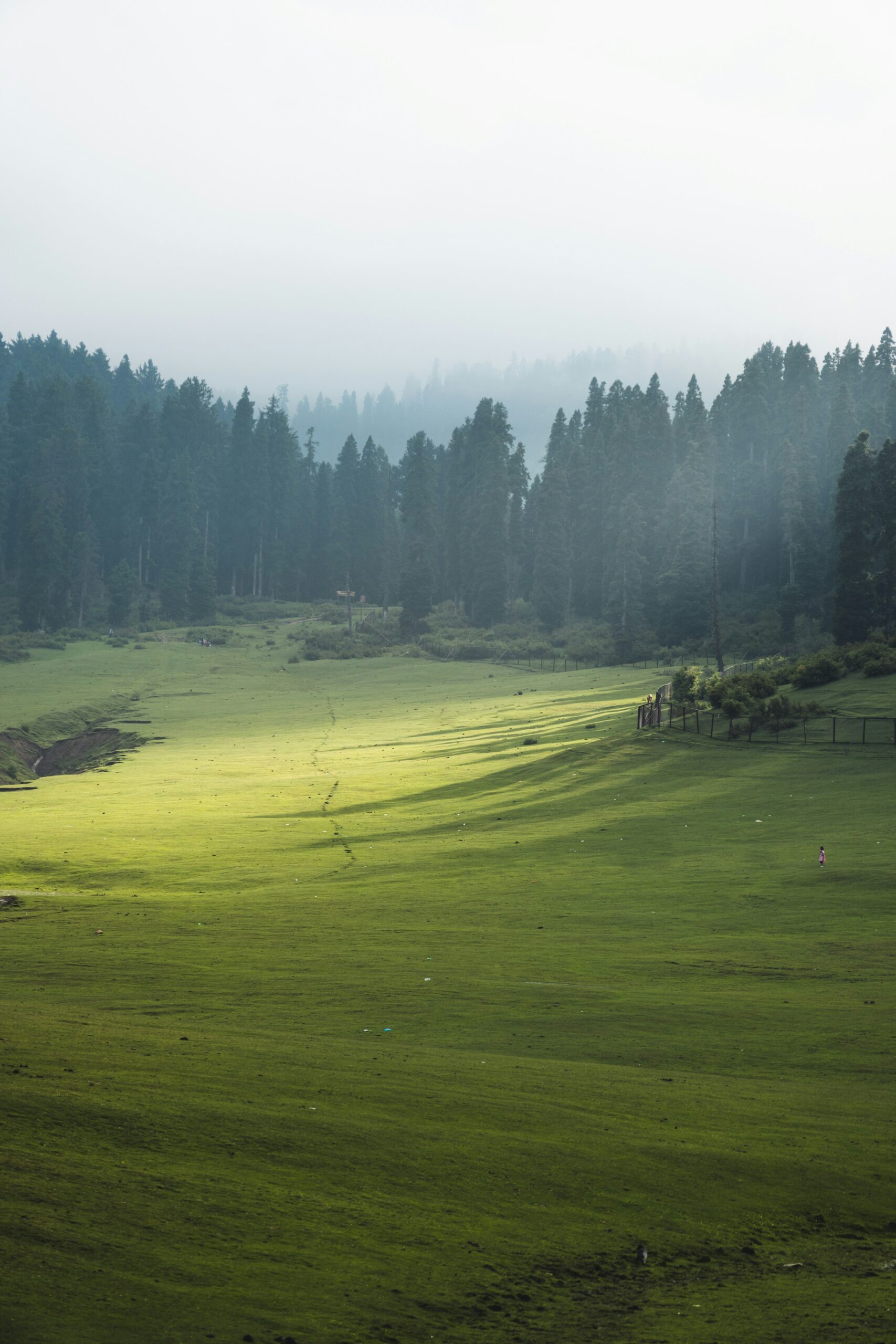 Kashmir Delight