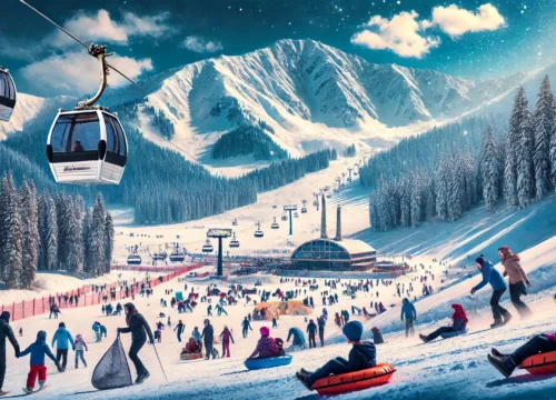 Top 5  Winter Activities in Gulmarg