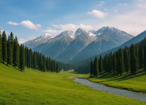 Offbeat Meadows of Kashmir: Exploring Yousmarg & Doodhpathri (Family Guide & Adventure Tips)