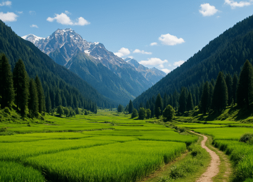 Lolab Valley & Kalaroos Caves: Offbeat Kashmir Travel Guide for Families, Adventure Seekers & Travel Agents