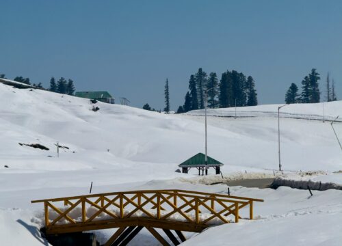 Winter Wonders in Kashmir: Skiing, Snowboarding & Cozy Stays in Gulmarg & Pahalgam