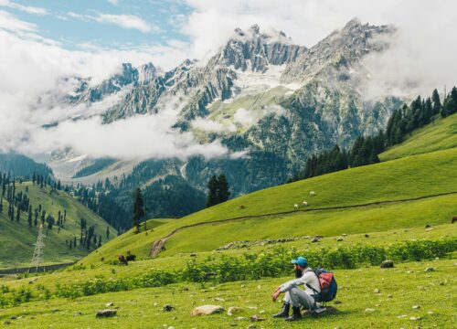 Kashmir’s Great Lakes & Tarsar Marsar Trek: Ultimate Guide for Families, Adventure Seekers & Travel Agents