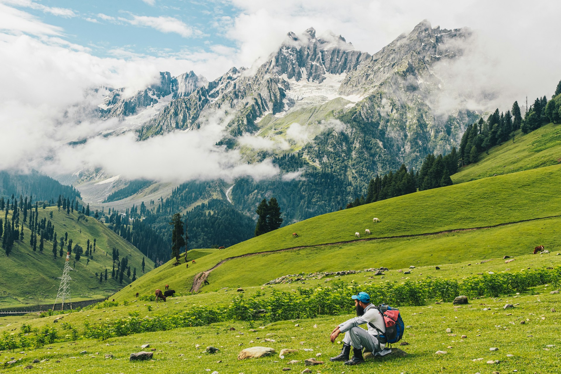 Scenic view of Kashmir Great Lakes trek with snow-capped mountains and grassy meadows