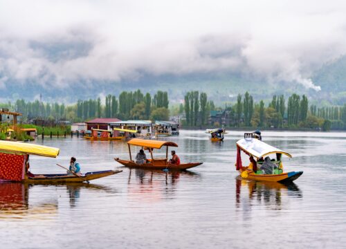 Dal Lake Houseboat & Shikara Experience: A Family-Friendly Adventure in Srinagar
