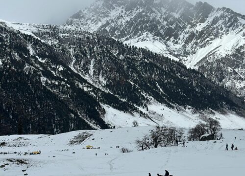 Winter Wonderland in Kashmir: Snowy Adventures & Cozy Stays for Families & Thrill-Seekers