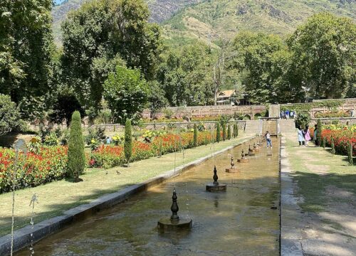 Kashmir’s Mughal Garden Escape: A Family & Adventure Guide to Shalimar, Nishat & Chashme Shahi