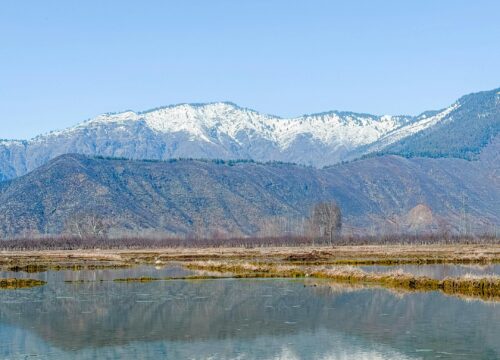 Kashmir Food Tour: Wazwan Delights & Street Eats for Families, Travel Agents & Adventure Seekers
